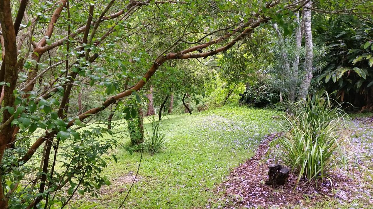 נאמבוקה הדס Forest View Bungalow מראה חיצוני תמונה