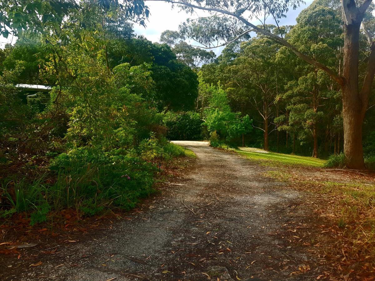 נאמבוקה הדס Forest View Bungalow מראה חיצוני תמונה