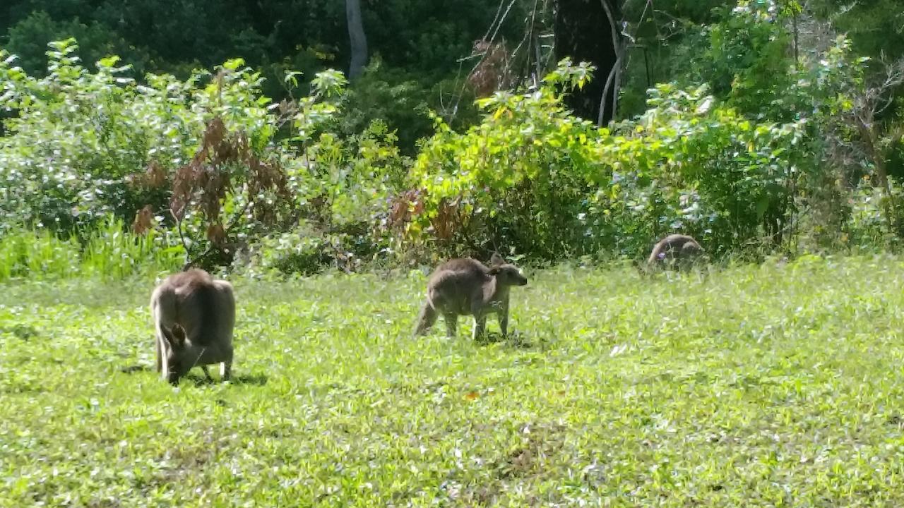 נאמבוקה הדס Forest View Bungalow מראה חיצוני תמונה