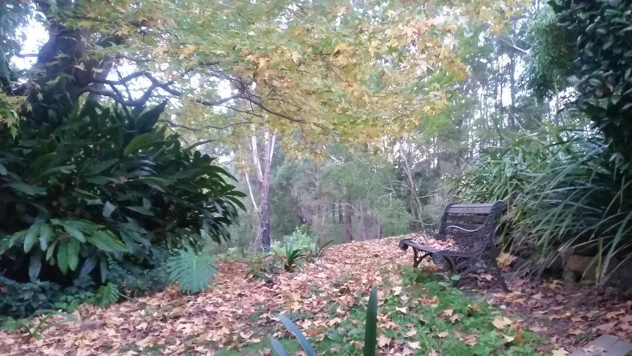 נאמבוקה הדס Forest View Bungalow מראה חיצוני תמונה