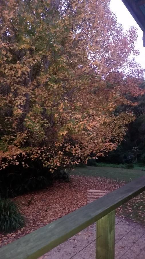 נאמבוקה הדס Forest View Bungalow מראה חיצוני תמונה