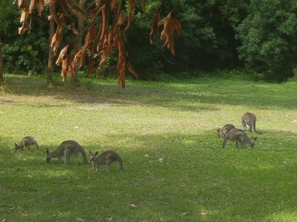 נאמבוקה הדס Forest View Bungalow מראה חיצוני תמונה