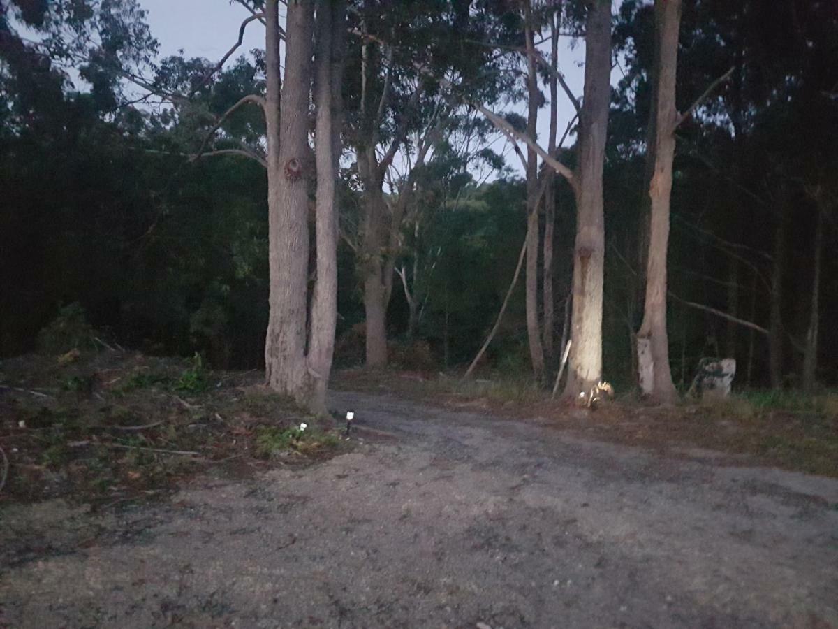 נאמבוקה הדס Forest View Bungalow מראה חיצוני תמונה