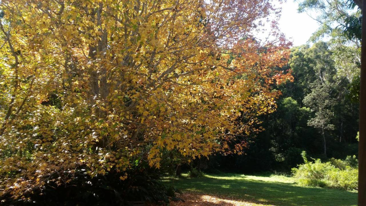 נאמבוקה הדס Forest View Bungalow מראה חיצוני תמונה